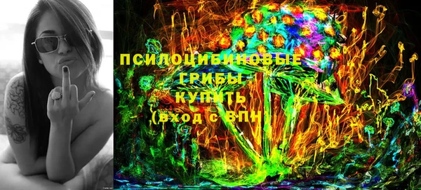сатива Семикаракорск