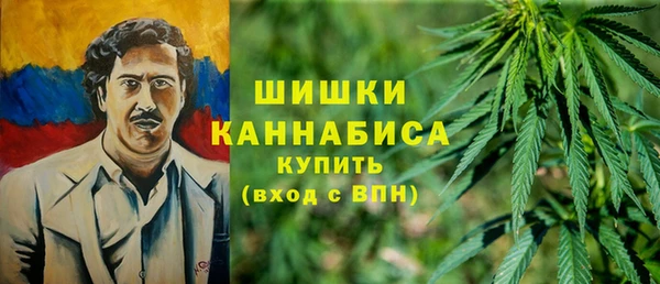 сатива Семикаракорск
