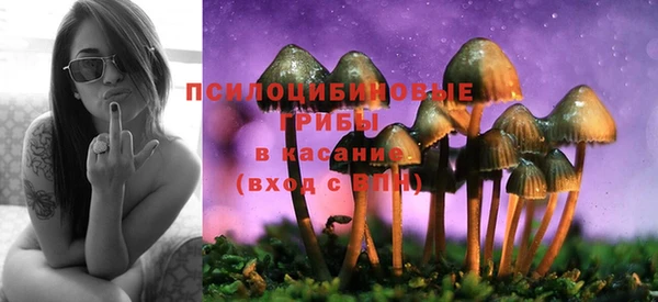 ECSTASY Семёнов