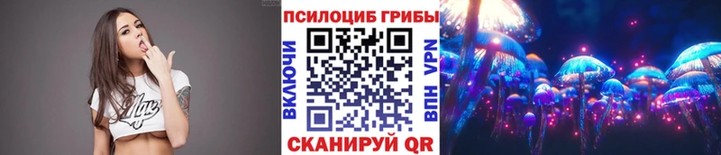 сайты даркнета телеграм  Ленинградская  Псилоцибиновые грибы мухоморы 